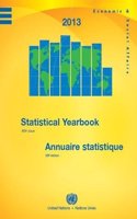 Statistical yearbook 2013