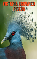 Victoria Crowned Pigeon