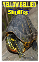 Yellow Bellied Sliders: The Complete Guides On How To Take Good Care Of The Yellow Bellied Sliders