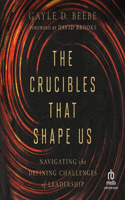 Crucibles That Shape Us