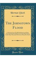 The Johnstown Flood: A Thriving City of 30, 000 Inhabitants and Many Great Industrial Establishments Nearly Wiped from Earth; Many Thousands Drowned or Burned to Death (Classic Reprint)