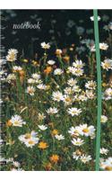 Notebook (Field of Daisies)