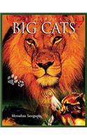 Discover Big Cats: (Discover Animals)