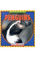 Penguins