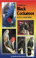 Guide to Black Cockatoos as Pet & Aviary Birds
