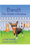 Bandit, The Chubby Chihuahua