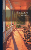 Pinellas: A Brief History Of The Lower Point