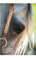 There is nothing better for the inside of a man, than the outside of a horse. Ronald Reagan