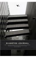 Diabetes Journal - Easy to Use Daily Blood Sugar Logbook for Type 1 Diabetes (Glycemic Record / Blood Glucose Tracker) Special Edition