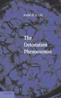 Detonation Phenomenon