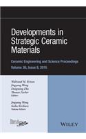 Developments in Strategic Ceramic Materials