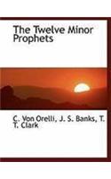 The Twelve Minor Prophets