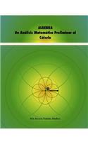 Algebra. Un Analisis Matematico Preliminar Al Calculo