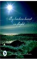 My Broken Heart in Flight