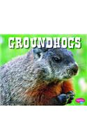 Groundhogs