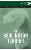 Bedlington Terrier - A Complete Anthology of the Dog -