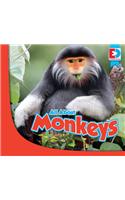 All about Monkeys: (Eyediscover)