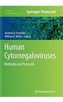 Human Cytomegaloviruses