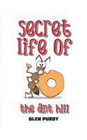 Secret Lives of The Ant Hill