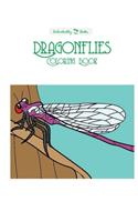 Dragonflies Coloring Book