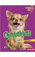Chihuahuas: (Lightning Bolt Books — Who's a Good Dog?)