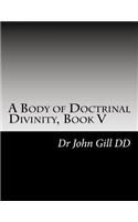 A Body of Doctrinal Divinity, Book V