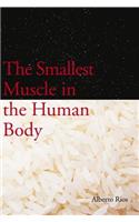 Smallest Muscle in the Human Body