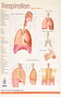 Respiration