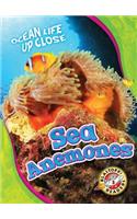 Sea Anemones