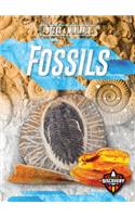 Fossils