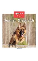 German Shepherds