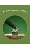 Le Grand Meaulnes: Large Print