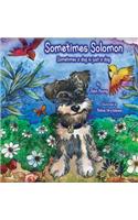 Sometimes Solomon