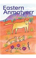 Eastern Anmatyerr Colouring Book