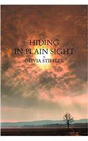 Hiding in Plain Sight