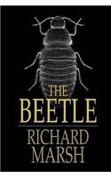The Beetle