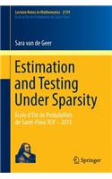 Estimation and Testing Under Sparsity