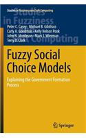 Fuzzy Social Choice Models