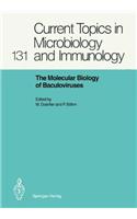 Molecular Biology of Baculoviruses
