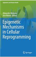 Epigenetic Mechanisms in Cellular Reprogramming