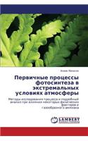 Pervichnye Protsessy Fotosinteza V Ekstremal'nykh Usloviyakh Atmosfery