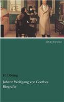 Johann Wolfgang Von Goethes Biografie