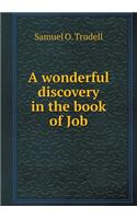 A Wonderful Discovery in the Book of Job