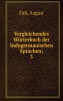 Vergleichendes Worterbuch der Indogermanischen Sprachen