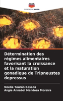 Détermination des régimes alimentaires favorisant la croissance et la maturation gonadique de Tripneustes depressus