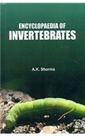 Encyclopaedia of Invertebrates