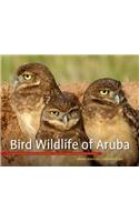 Bird Wildlife of Aruba