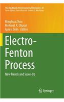 Electro-Fenton Process