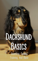 Dachshund Basics: Breeding, Caring, Training, And More: Dachshund Dog Breed Information