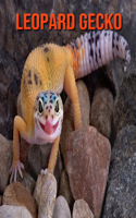 Leopard Gecko: Amazing Facts about Leopard Gecko